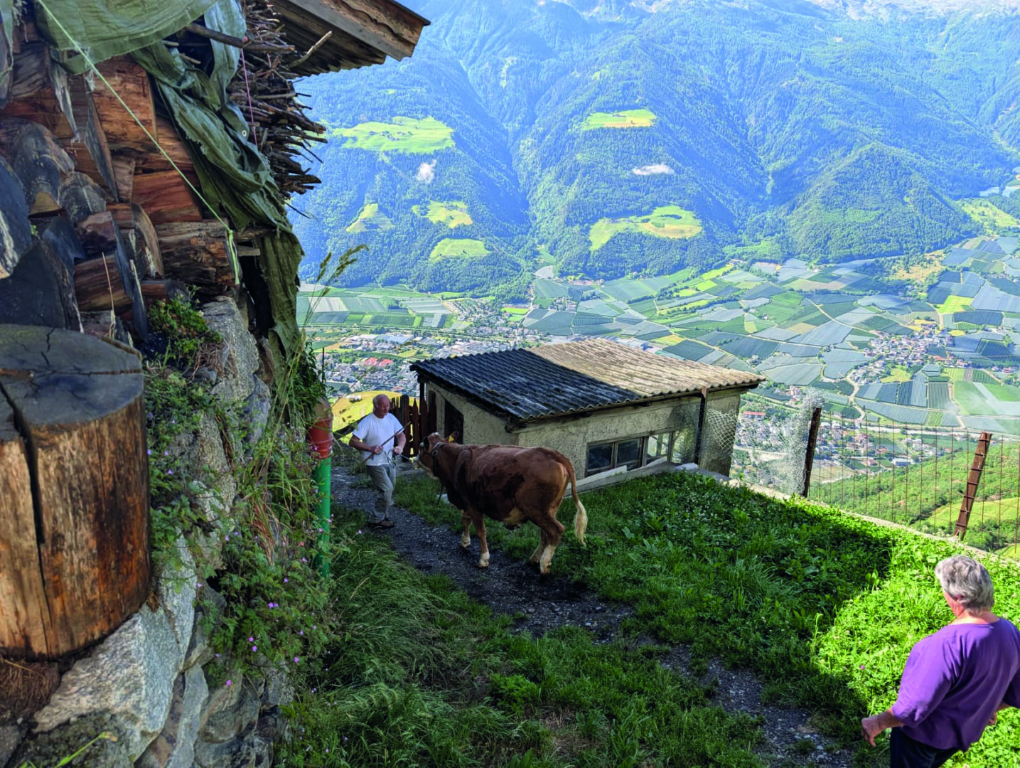 bergbauernhilfe_2026_04