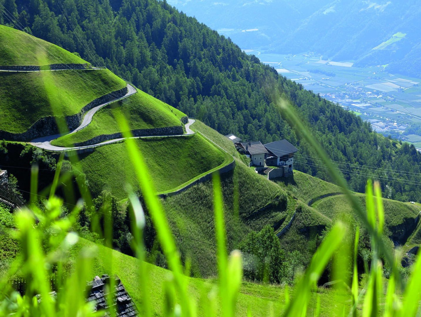bergbauernhilfe_2026_07